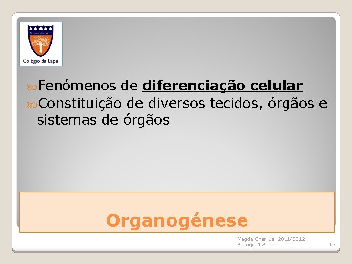  Fenómenos de diferenciação celular Constituição de diversos tecidos, órgãos e sistemas de órgãos