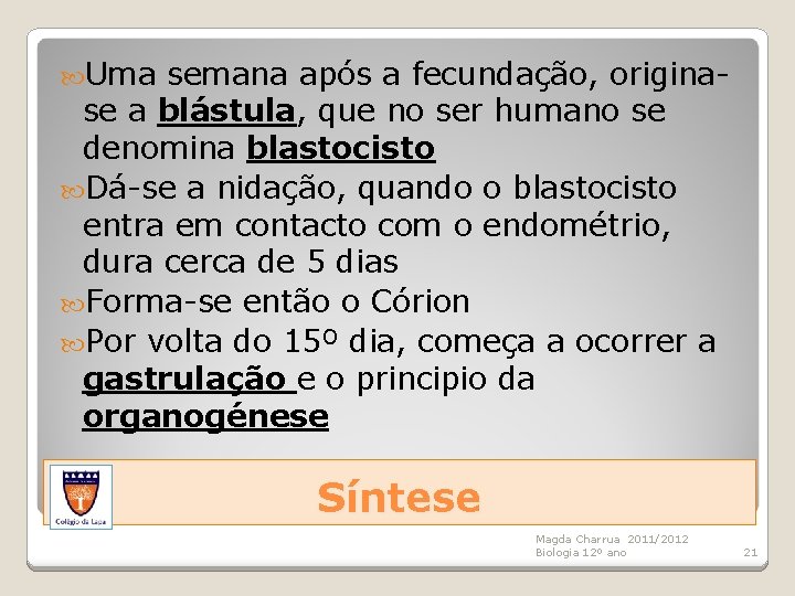  Uma semana após a fecundação, originase a blástula, que no ser humano se