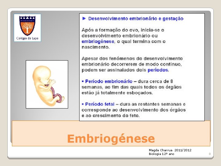 Embriogénese Magda Charrua 2011/2012 Biologia 12º ano 8 