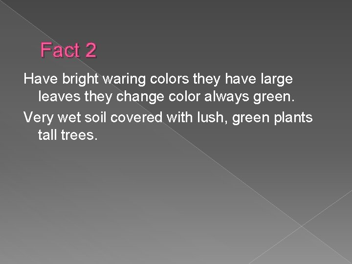 Fact 2 Have bright waring colors they have large leaves they change color always