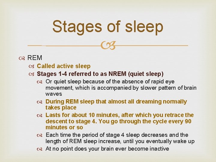 Stages of sleep REM Called active sleep Stages 1 -4 referred to as NREM