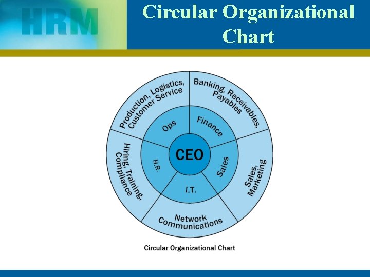 Circular Organizational Chart 