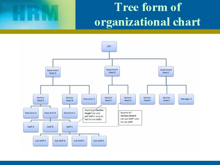 Tree form of organizational chart 