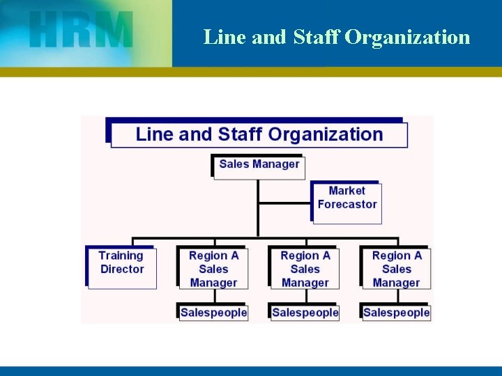 Line and Staff Organization 