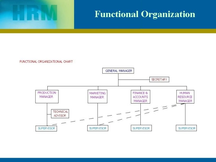 Functional Organization 