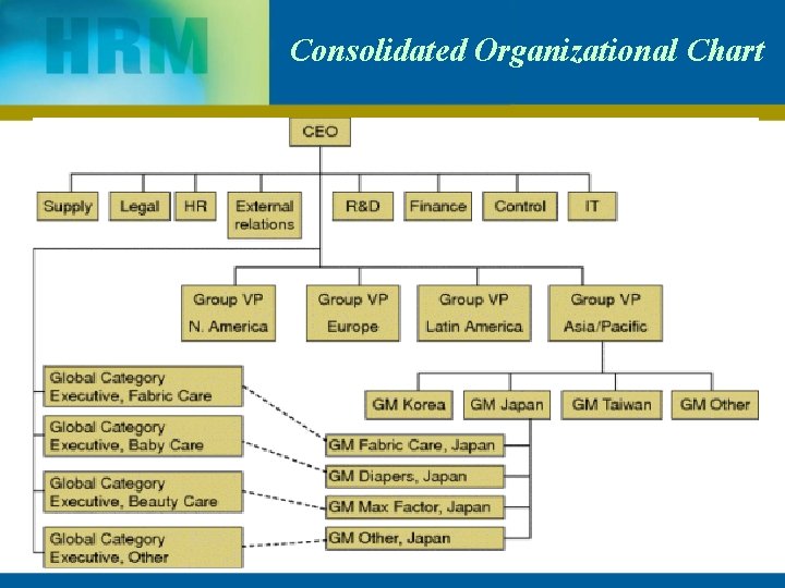 Consolidated Organizational Chart 