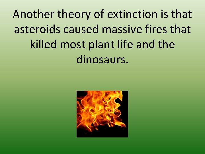 Another theory of extinction is that asteroids caused massive fires that killed most plant