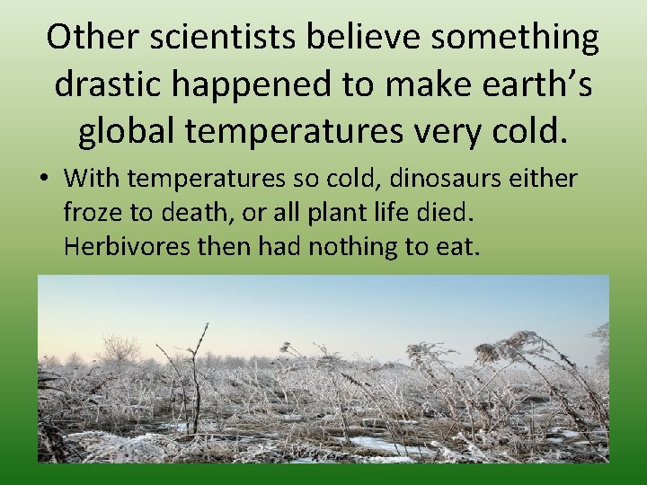 Other scientists believe something drastic happened to make earth’s global temperatures very cold. •