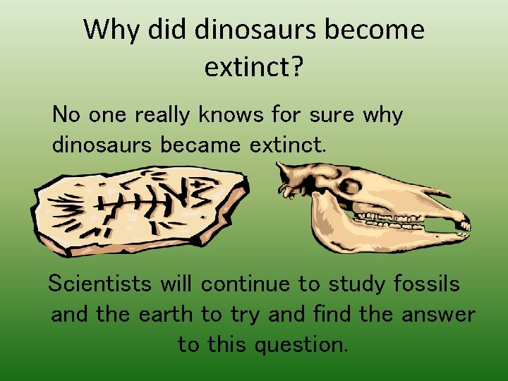 Why did dinosaurs become extinct? No one really knows for sure why dinosaurs became