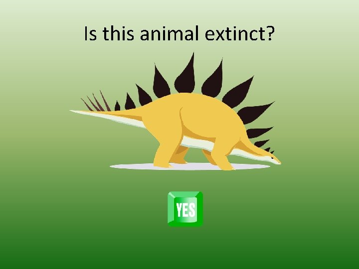 Is this animal extinct? 