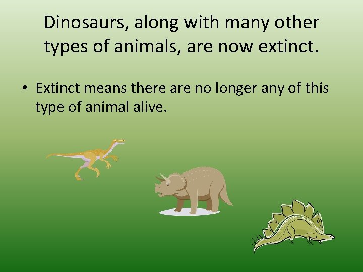 Dinosaurs, along with many other types of animals, are now extinct. • Extinct means