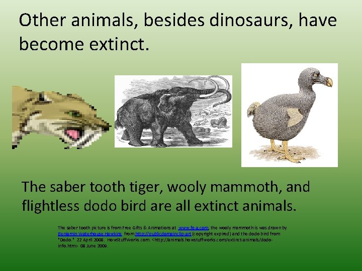 Other animals, besides dinosaurs, have become extinct. The saber tooth tiger, wooly mammoth, and