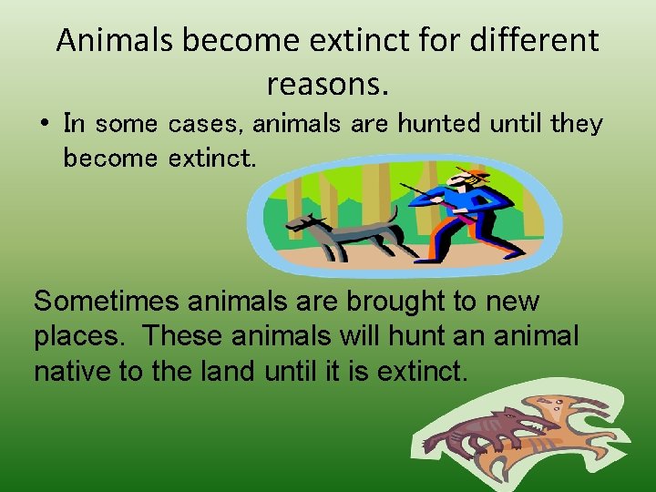 Animals become extinct for different reasons. • In some cases, animals are hunted until