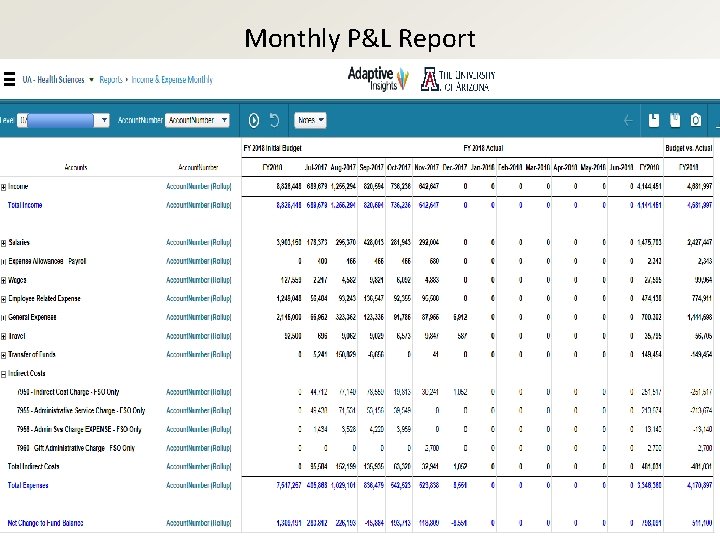 Monthly P&L Report 
