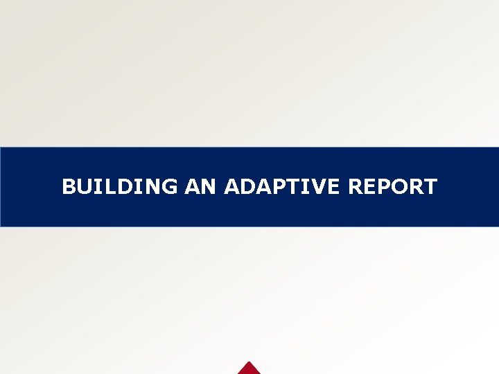 BUILDING AN ADAPTIVE REPORT 