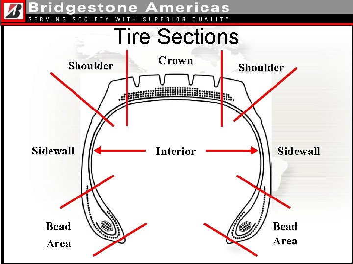 Tire Sections Shoulder Sidewall Bead Area Crown Interior Shoulder Sidewall Bead Area 