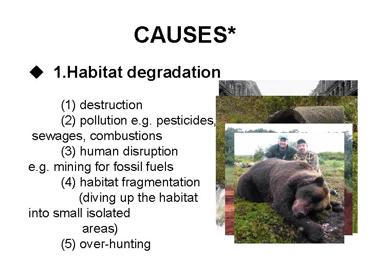 CAUSES* u 1. Habitat degradation (1) destruction (2) pollution e. g. pesticides, sewages, combustions