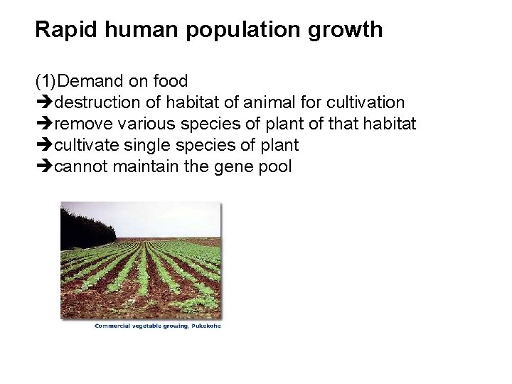 Rapid human population growth (1)Demand on food destruction of habitat of animal for cultivation
