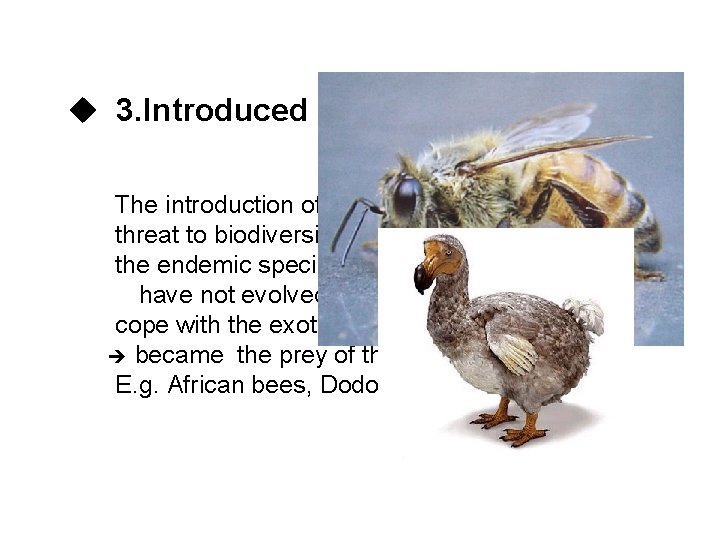 u 3. Introduced species The introduction of exotic species is a potent threat to