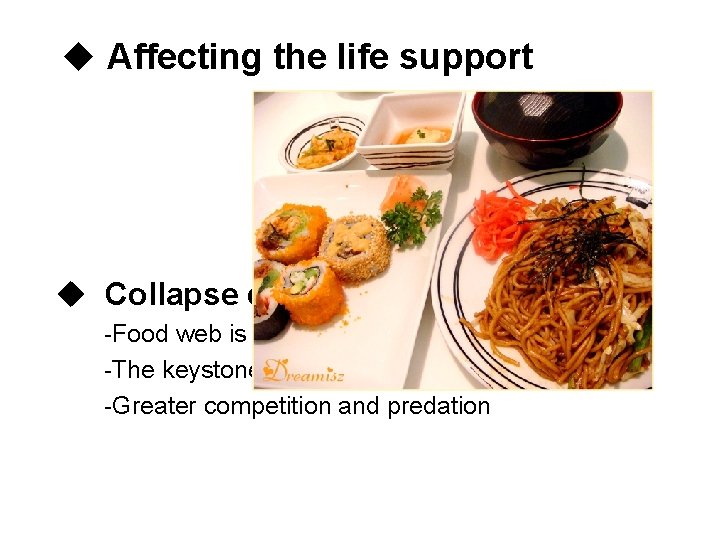 u Affecting the life support u Collapse of ecosystem -Food web is affected -The