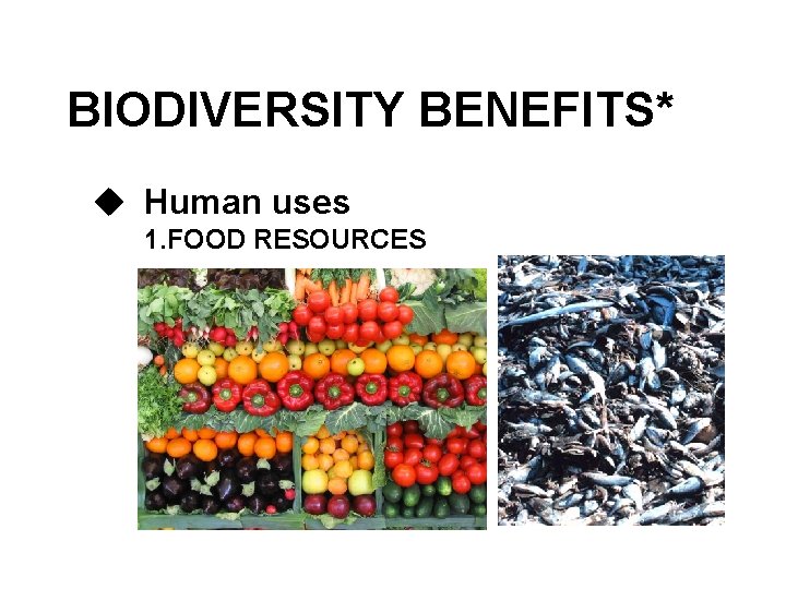 BIODIVERSITY BENEFITS* u Human uses 1. FOOD RESOURCES 