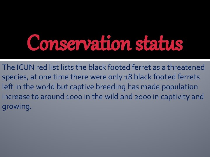 Conservation status The ICUN red lists the black footed ferret as a threatened species,