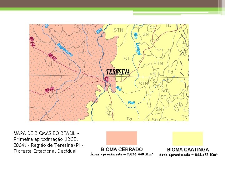 MAPA DE BIOMAS DO BRASIL – Primeira aproximação (IBGE, 2004) – Região de Teresina/PI