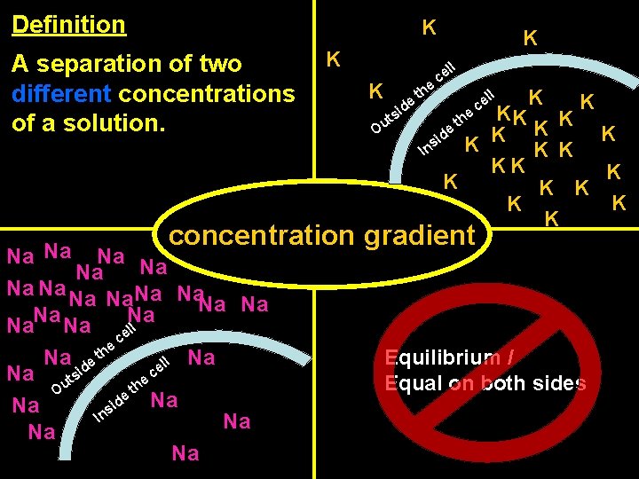 Definition K A separation of two different concentrations of a solution. K Na Na