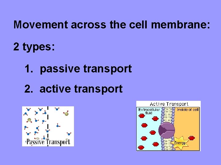 Movement across the cell membrane: 2 types: 1. passive transport 2. active transport 