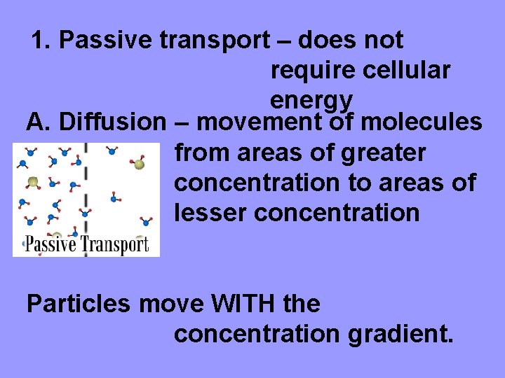 1. Passive transport – does not require cellular energy A. Diffusion – movement of