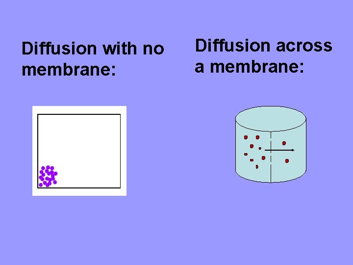Diffusion with no membrane: Diffusion across a membrane: 