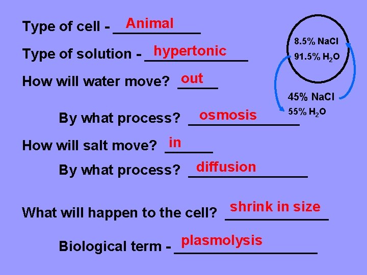 Animal Type of cell - ______ hypertonic Type of solution - _______ 8. 5%