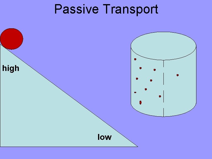 Passive Transport high low 