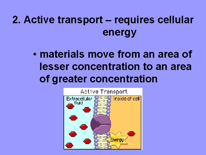 2. Active transport – requires cellular energy • materials move from an area of