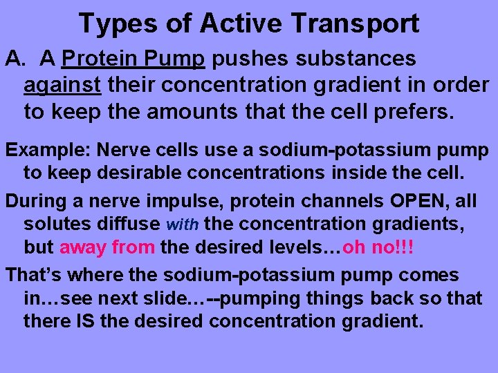 Types of Active Transport A. A Protein Pump pushes substances against their concentration gradient