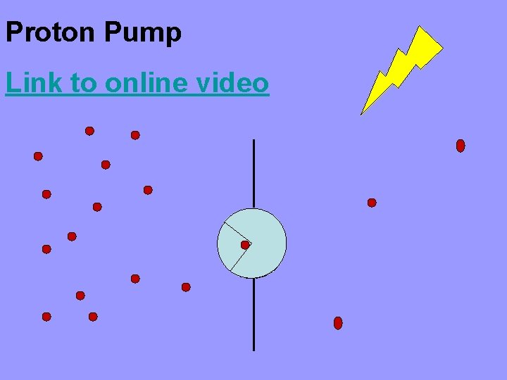 Proton Pump Link to online video 