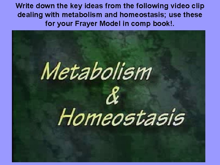 Write down the key ideas from the following video clip dealing with metabolism and