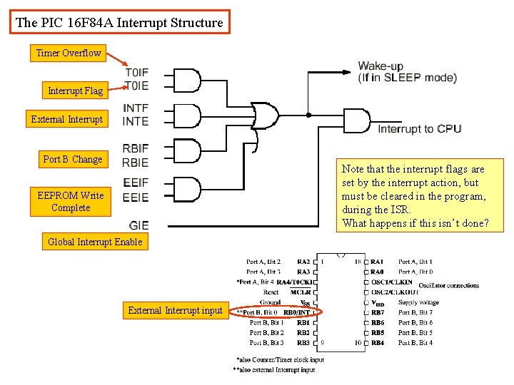 The PIC 16 F 84 A Interrupt Structure Timer Overflow Interrupt Flag External Interrupt