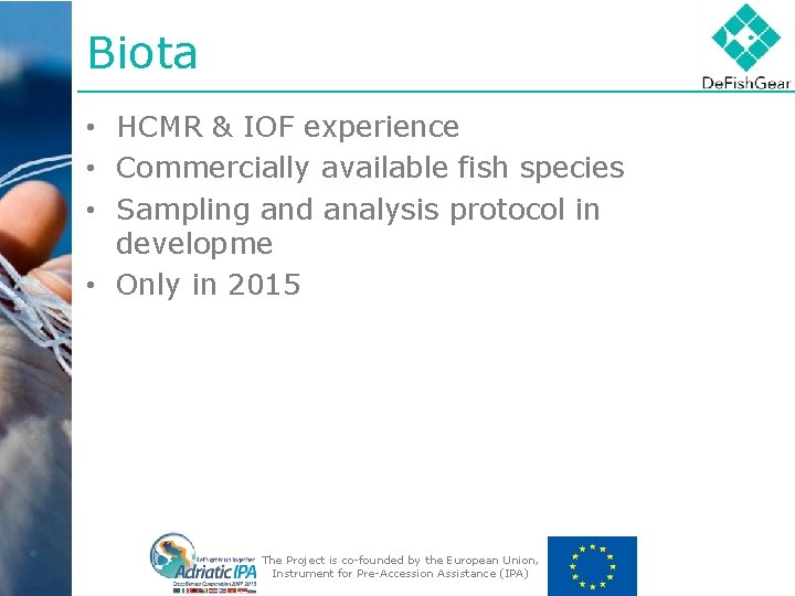 Biota • HCMR & IOF experience • Commercially available fish species • Sampling and