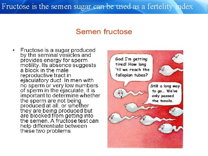 Fructose is the semen sugar can be used as a fertelity index 