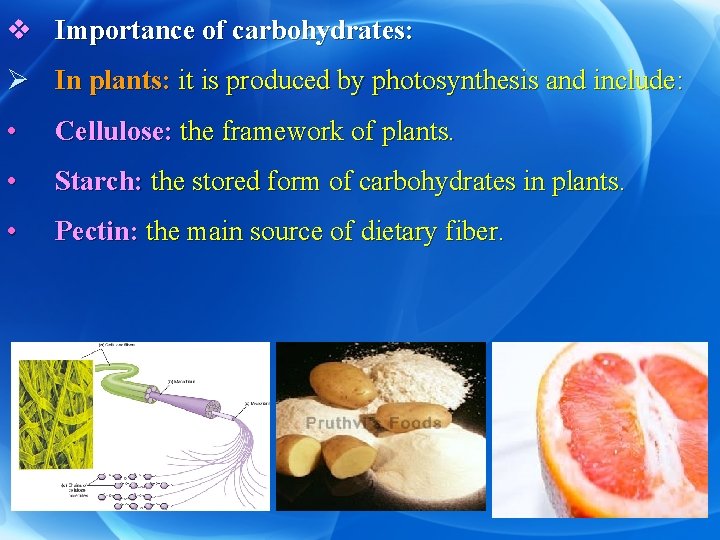 v Importance of carbohydrates: Ø In plants: it is produced by photosynthesis and include: