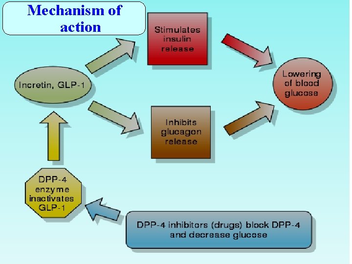 Mechanism of action 