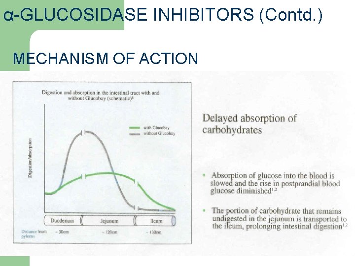 α-GLUCOSIDASE INHIBITORS (Contd. ) MECHANISM OF ACTION 35 