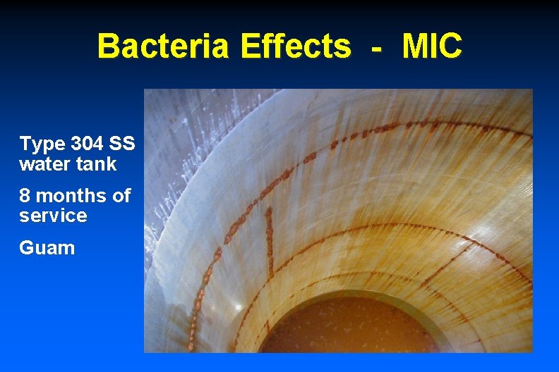 Bacteria Effects - MIC Type 304 SS water tank 8 months of service Guam