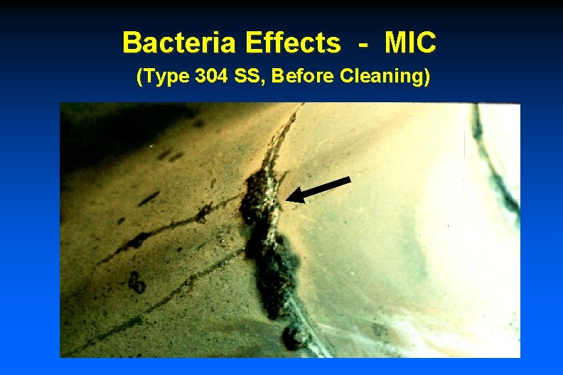 Bacteria Effects - MIC (Type 304 SS, Before Cleaning) 