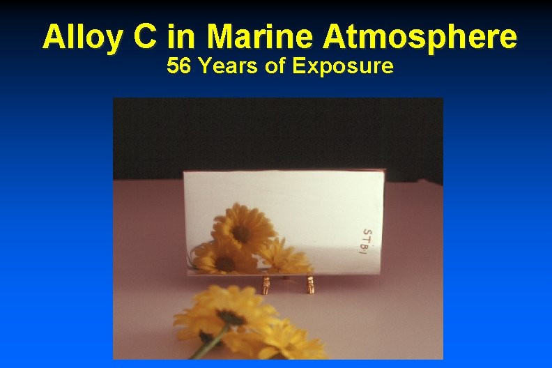 Alloy C in Marine Atmosphere 56 Years of Exposure 