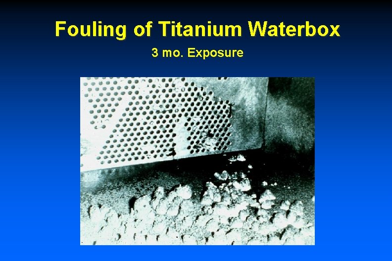 Fouling of Titanium Waterbox 3 mo. Exposure 