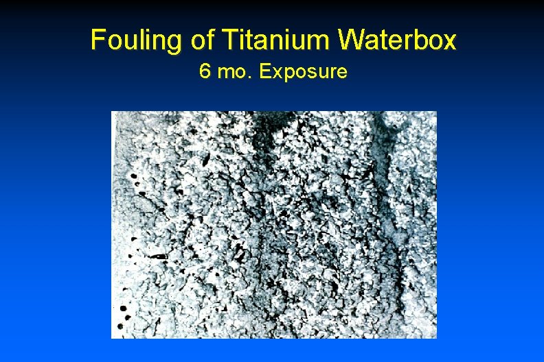 Fouling of Titanium Waterbox 6 mo. Exposure 