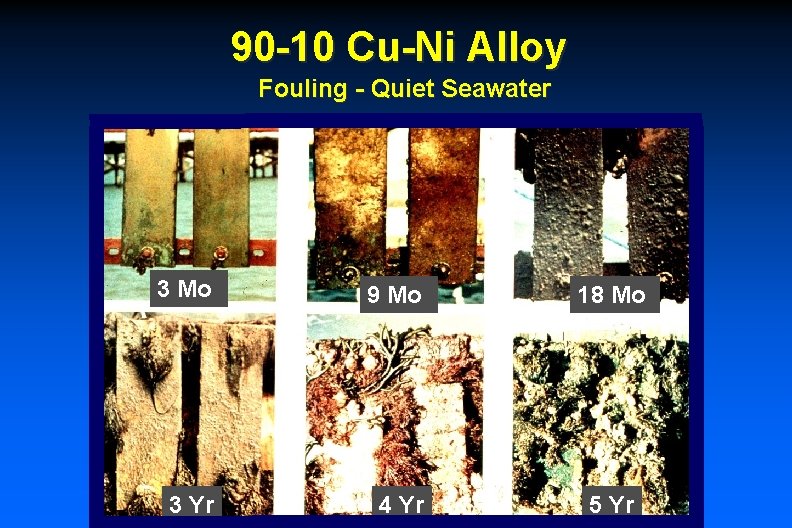 90 -10 Cu-Ni Alloy Fouling - Quiet Seawater 3 Mo 9 Mo 3 Yr