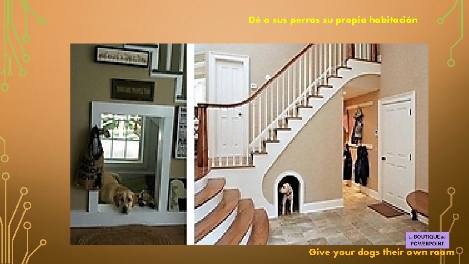 Dé a sus perros su propia habitación Give your dogs their own room 